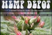 Hemp Depot Review