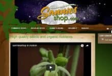 Sannies Seed Review