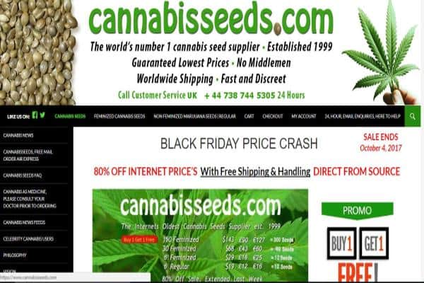 Cannabisseeds.com Review