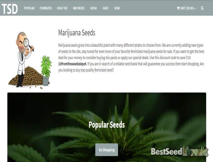 the seed depot review
