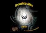 Online Grow shop Alien Review