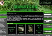 HeadSite.com Seed Bank Review