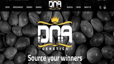 DNA Genetics review