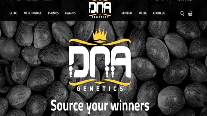 DNA Genetics review