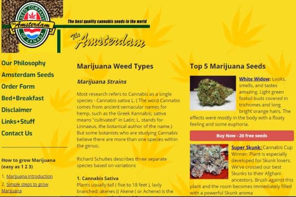 The Amsterdam Seed Company Canada Review