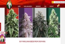 Crop King Seeds Review