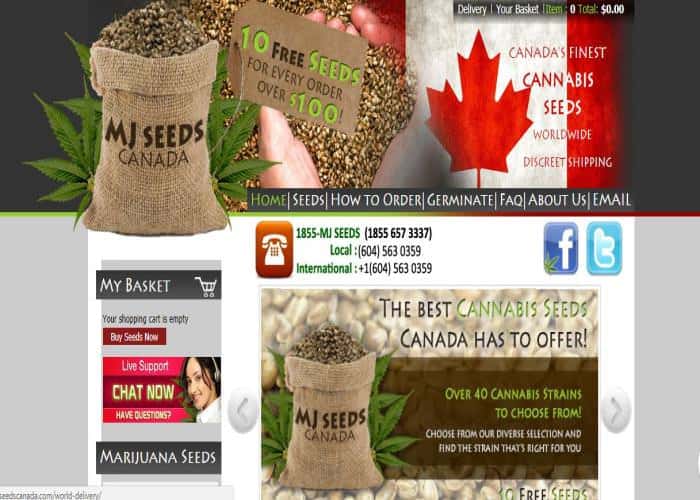 MJ Seeds Canada Review