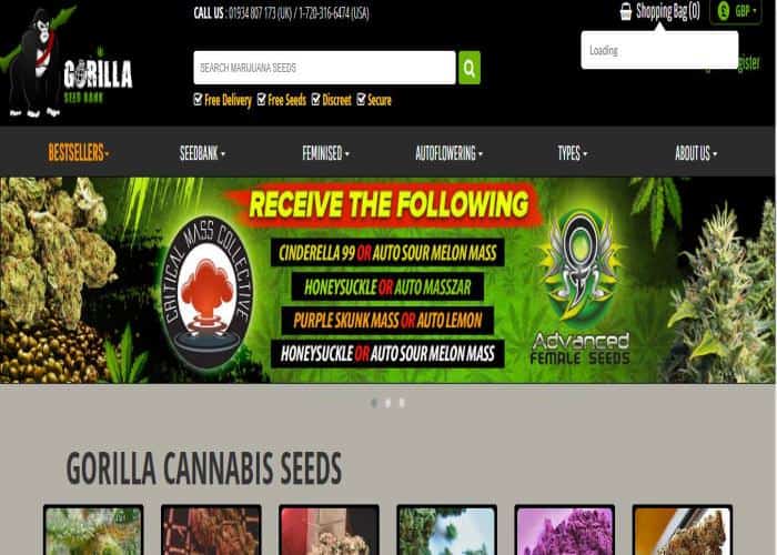 Gorilla Seed Bank Review