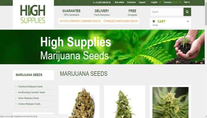 High Supplies Seed Bank Review