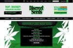 Discreet Seeds Review