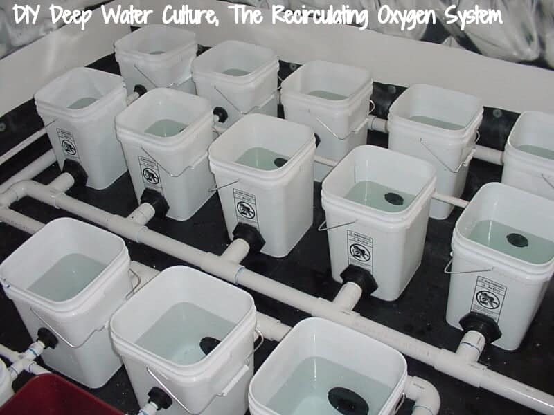 DIY Deep Water Culture, The Recirculating Oxygen System by Heath Robinson