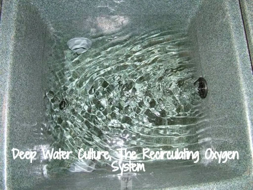 Water in a hydroponic system agitated by an oxygen recirculating system. Heath Robinson