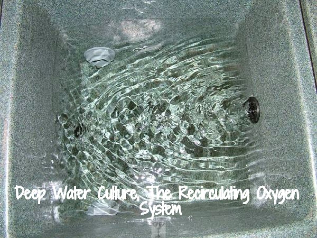 DIY Deep Water Culture, The Recirculating Oxygen System