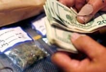 Why You Need A Scale For Buying And Selling Weed