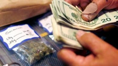 Why You Need A Scale For Buying And Selling Weed