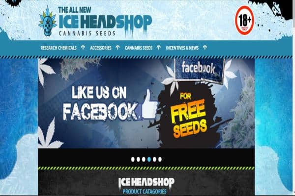 Ice Head Shop Review