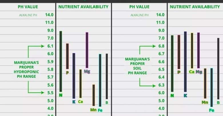 handy-little-cannabis-ph-meter-chart