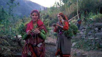 Malana the people of India where cannabis is a way of life