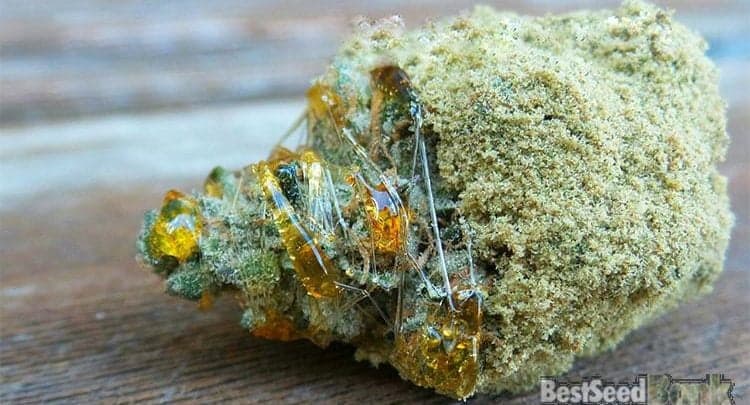 How to make moon rock weed