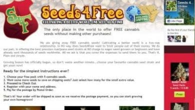 seeds 4 free