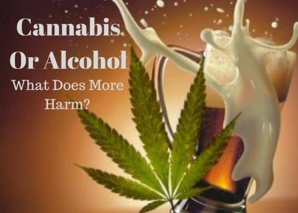 Cannabis Or Alcohol - What Does More Harm?