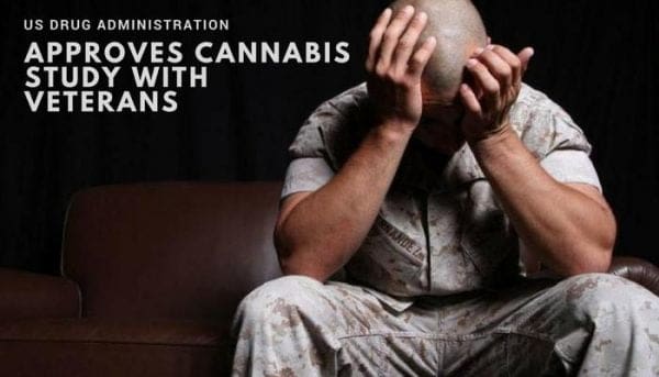 US Drug Administration approves cannabis study with veterans