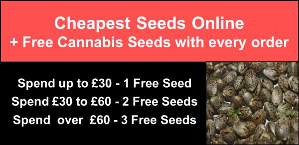 Free Seeds From discount cannabis seeds