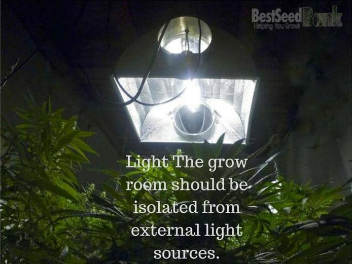 Light The grow room should be isolated from external light sources.