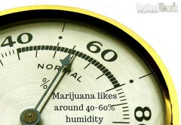 Marijuana likes around 40-60% humidity