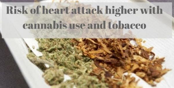 Risk of heart attack higher with cannabis use and tobacco