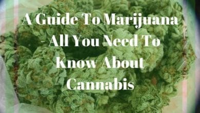 A Guide To Marijuana - All You Need To Know About Cannabis