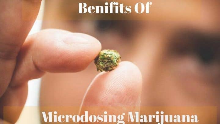 Benefits Of Microdosing Marijuana