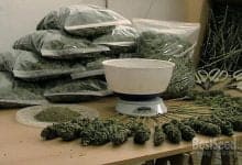 Best Method To Dry And Cure Marijuana