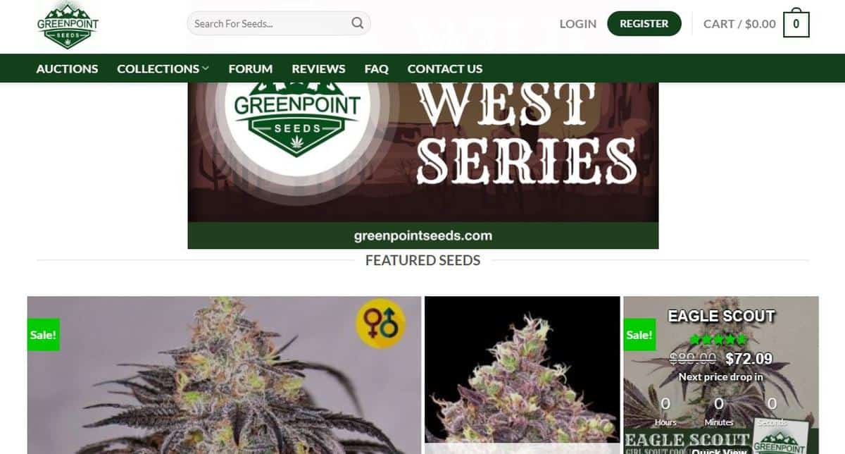 greenpoint seeds review