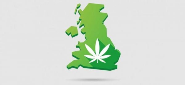 Cannabis oil available next month in United Kingdom