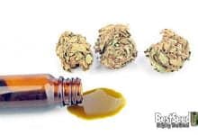 Does cannabidiol have side effects?