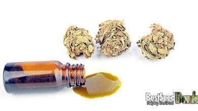 Does cannabidiol have side effects?