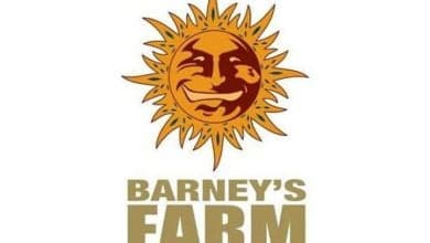 Barney's Farm Breeder Review