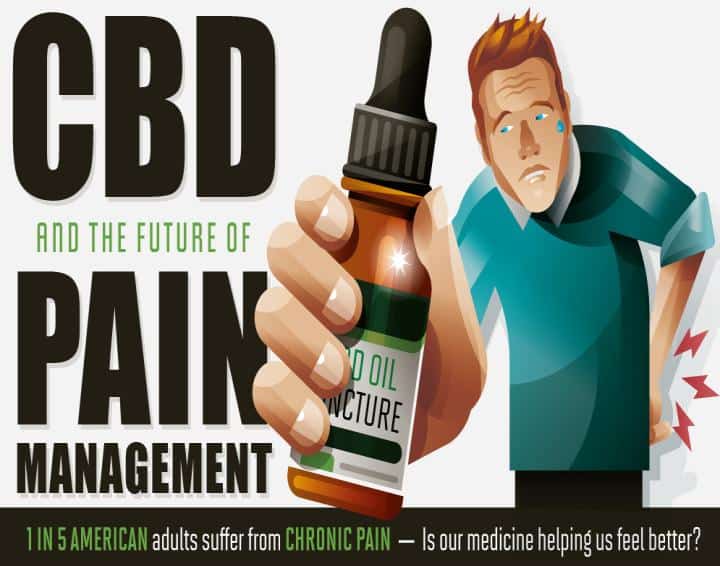 CBD in Chronic Pain Relief Infographic
