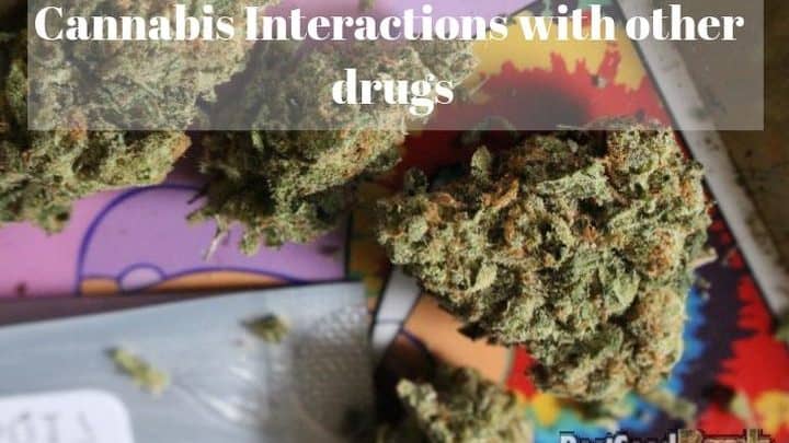 Cannabis Interactions with other drugs