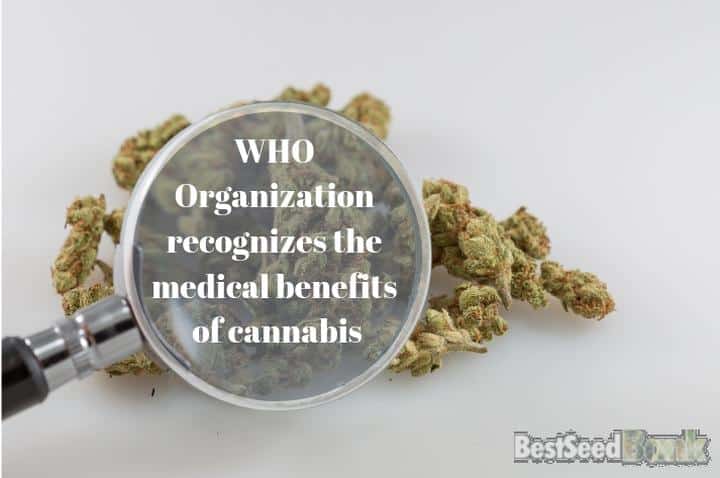The World Health Organization recognizes the medical benefits of cannabis