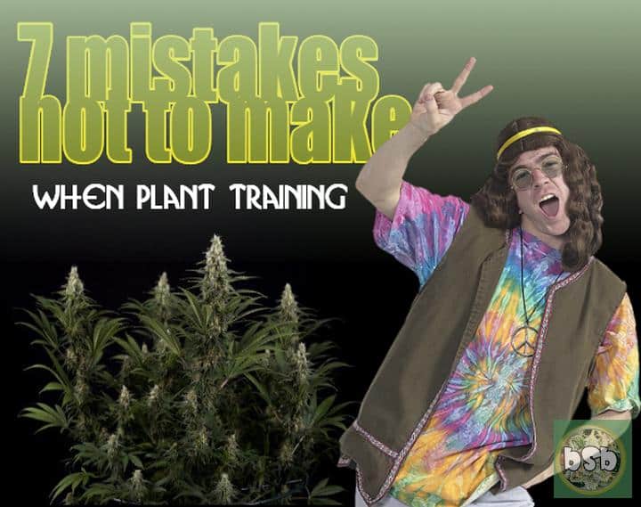 7 mistakes not to make with plant training