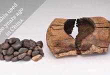 Cannabis used 2,500 years ago in China