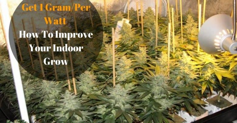 Get-1-Gram_Watt-How-To-Improve-Your-Indoor-Grow