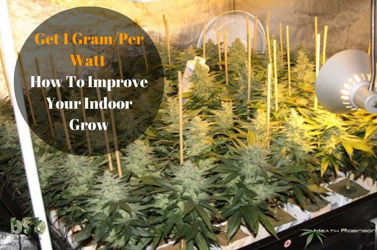 Get-1-Gram_Watt-How-To-Improve-Your-Indoor-Grow
