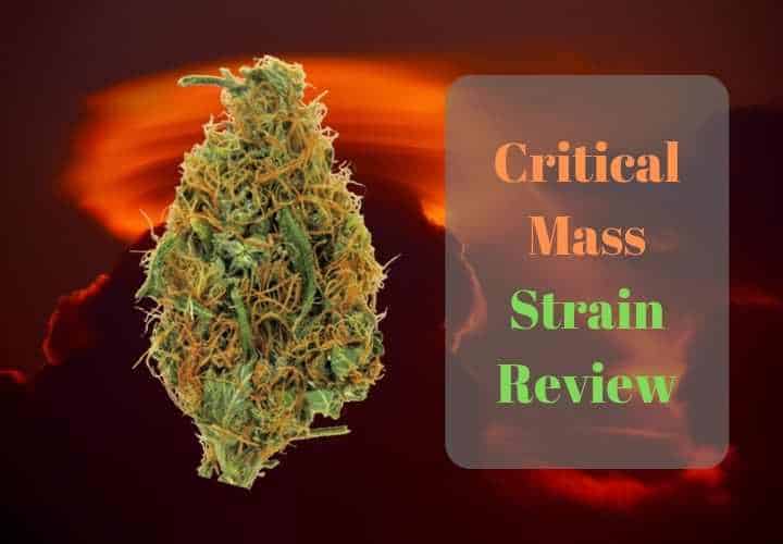 Critical mass strain review