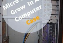 Micro Ghetto Grow In A Computer Case
