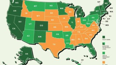 Cannabis Laws in the United States - 2020