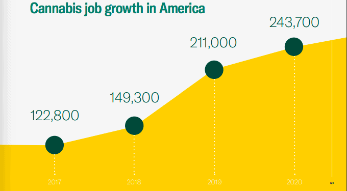 cannabis job growth Hundreds of thousands of new jobs - a steady increase every year
