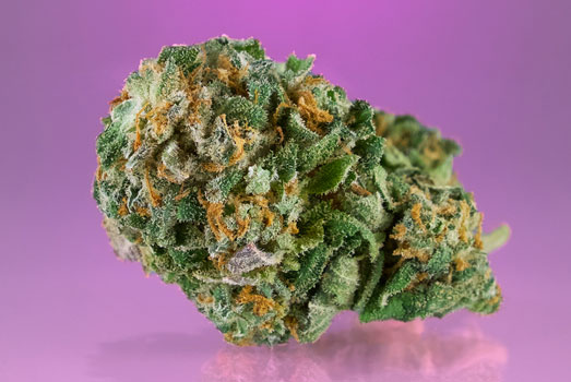 Bubblegum weed gives a happy, euphoric, relaxed feeling.